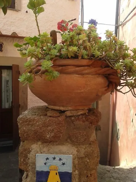 Apartment Terratetto Indipendente Capraia
